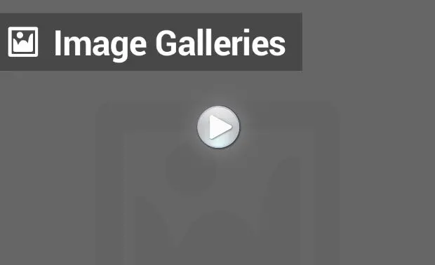 Using Image Galleries in WordPress