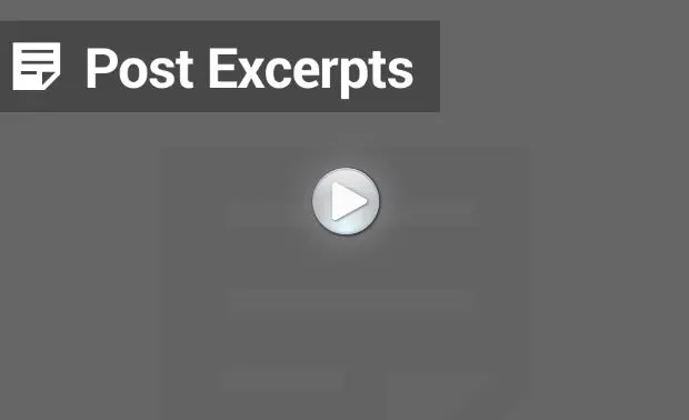 WordPress Classic Editor Post Excerpts