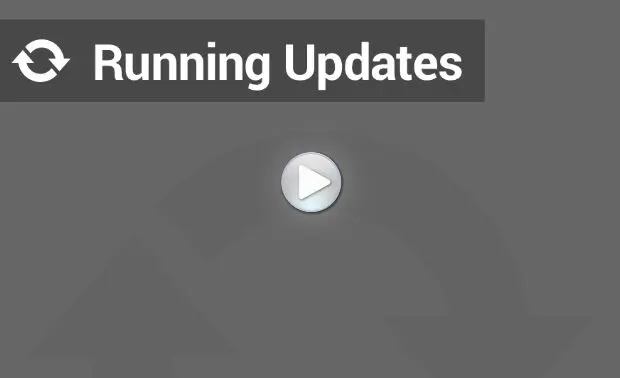 Running WordPress Updates