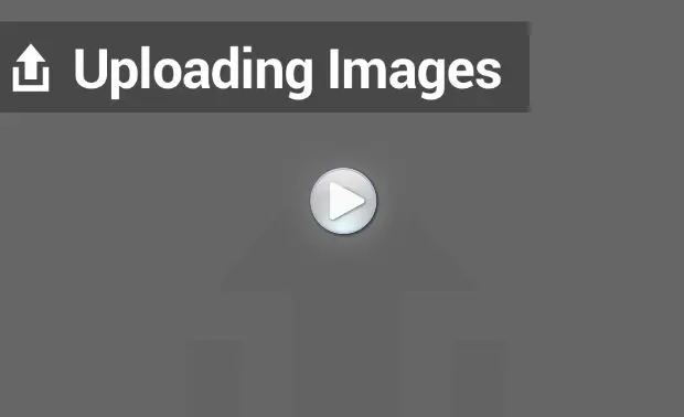 Uploading Images in WordPress