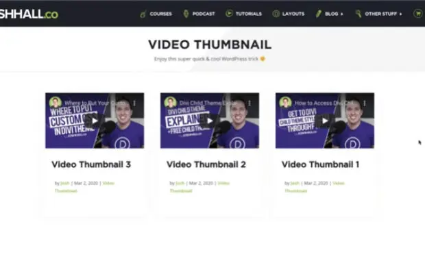 Video Thumbnail in WordPress